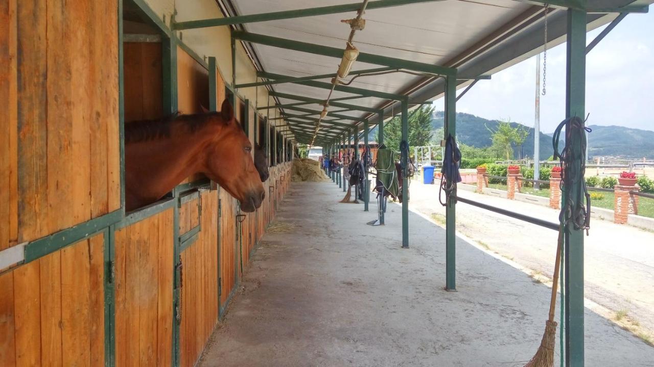 Relais Black Horse Millesimo Dış mekan fotoğraf