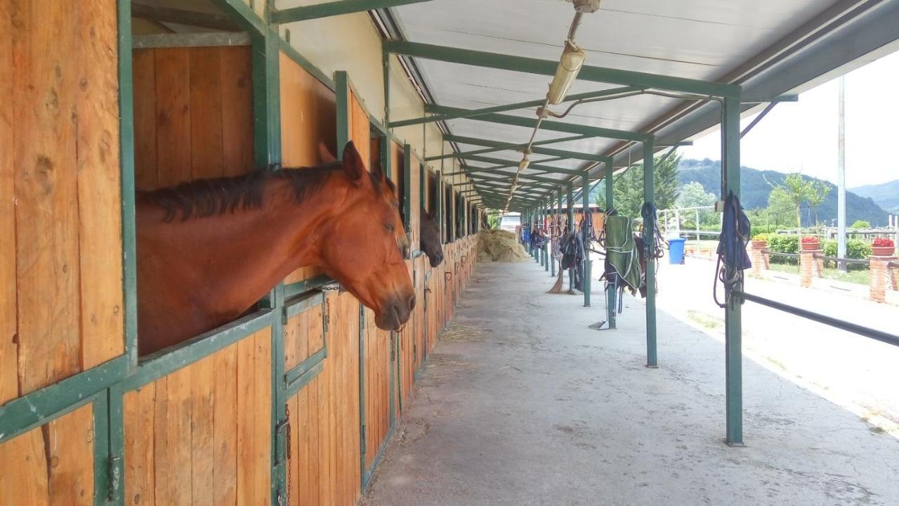 Relais Black Horse Millesimo Dış mekan fotoğraf