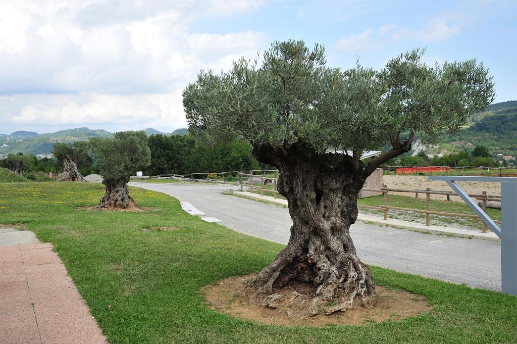 Relais Black Horse Millesimo Dış mekan fotoğraf